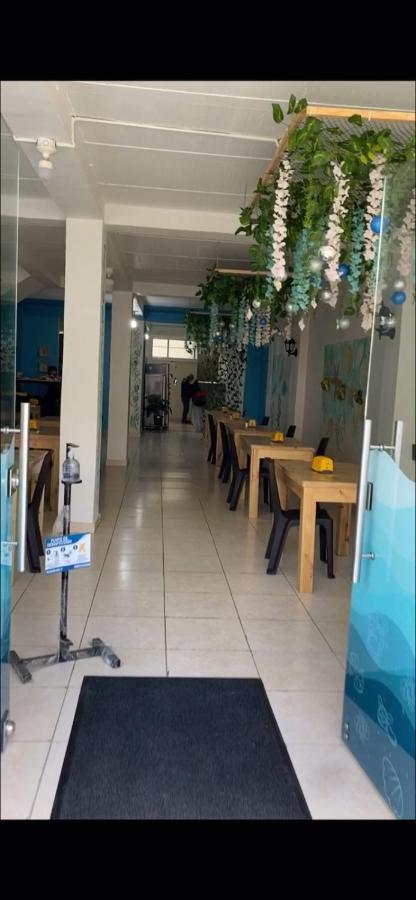 Cafe Estrella 4* Armenia (Quindio)